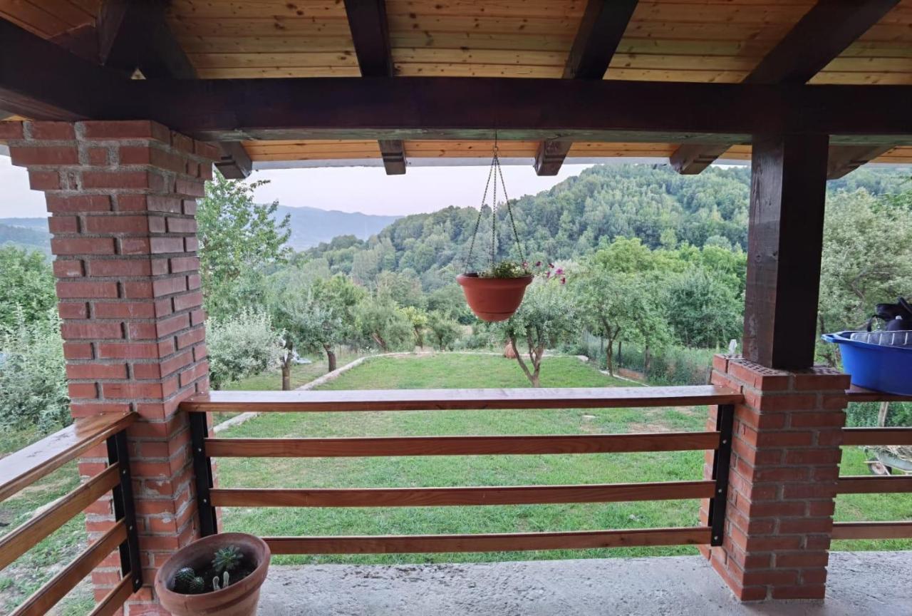 Willa Vila Ella Căpăţîneni-Ungureni Zewnętrze zdjęcie